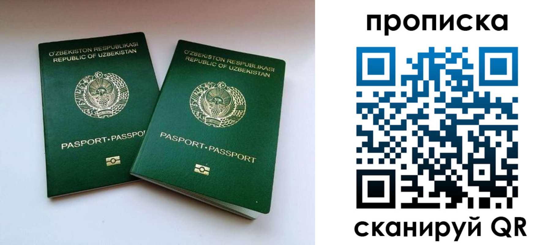 прописка поиск в Закаменске